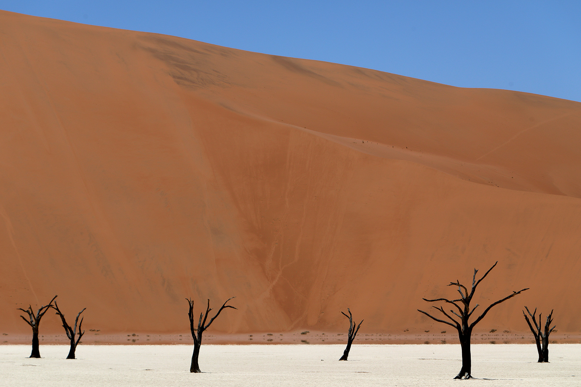 Deadvlei is one of the highlights of Namibia.