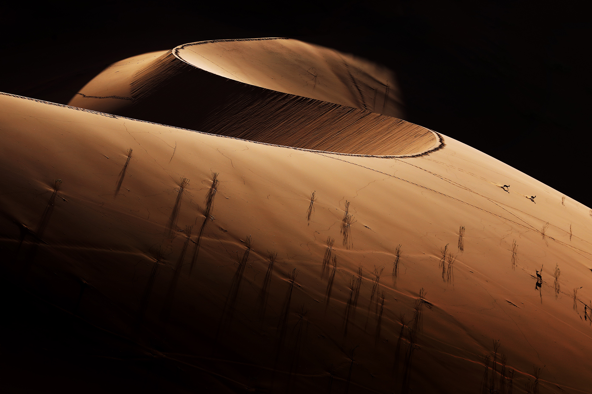 Sand dunes of Deadvlei and Sossusvlei