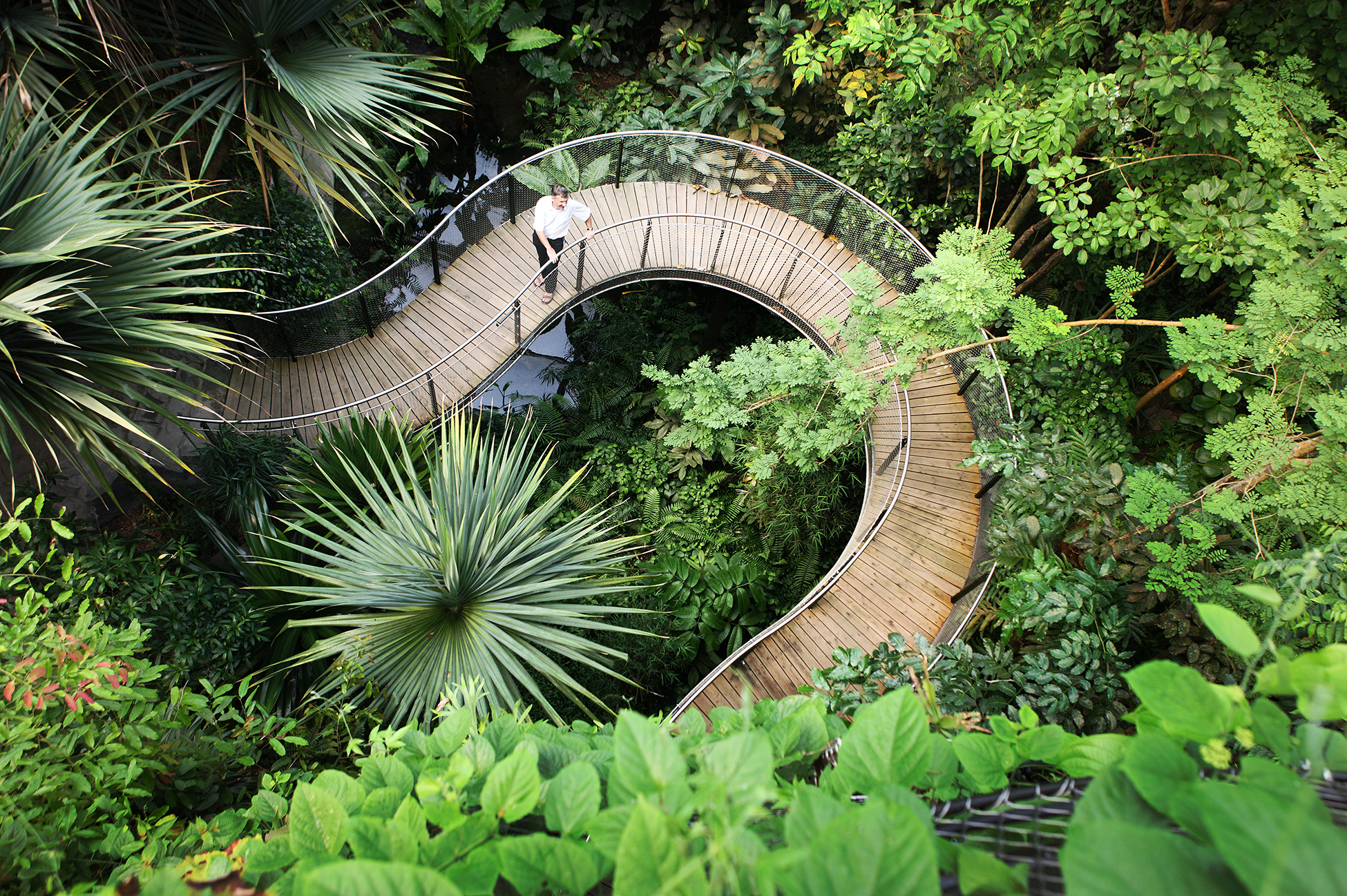 Madagascar’s unique biodiversity, home to endemic lemurs, chameleons, baobabs, and rare plants, with ecosystems found nowhere else on Earth.