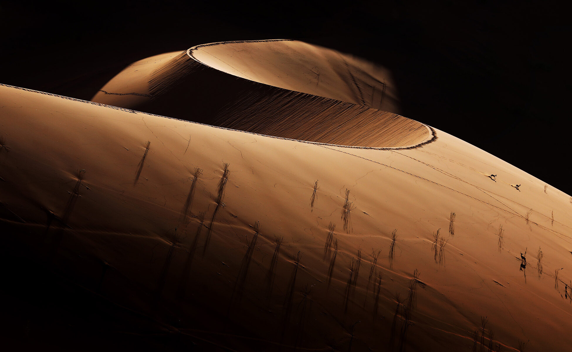 Deadvlei Namibia Sossusvlei The sand dunes of Deadvlei and Sossusvlei
