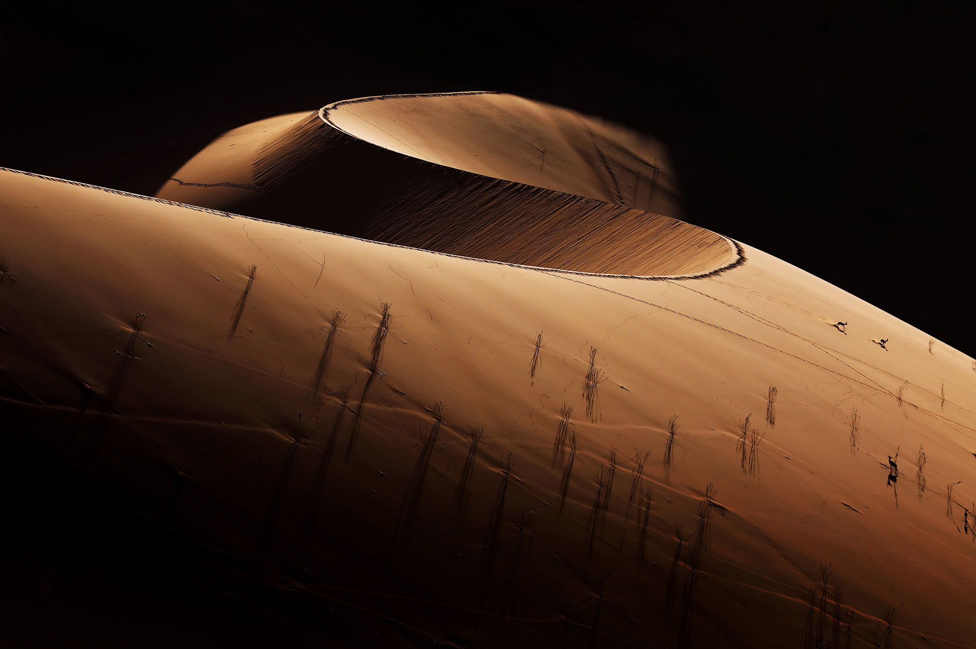 2026 Deadvlei Namibia SossusvleiThe sand dunes of Deadvlei and Sossusvlei