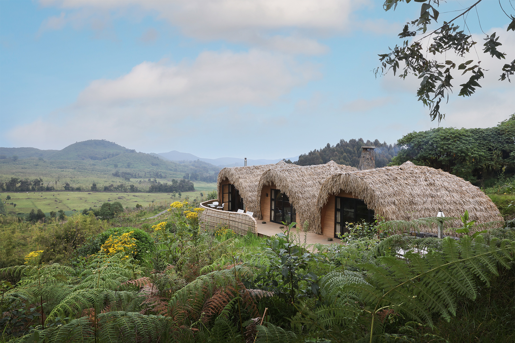 A breathtaking scene of mountain gorillas roaming the rainforest below the iconic thatched villas of Wilderness Bisate Reserve in Rwanda’s Volcanoes National Park.